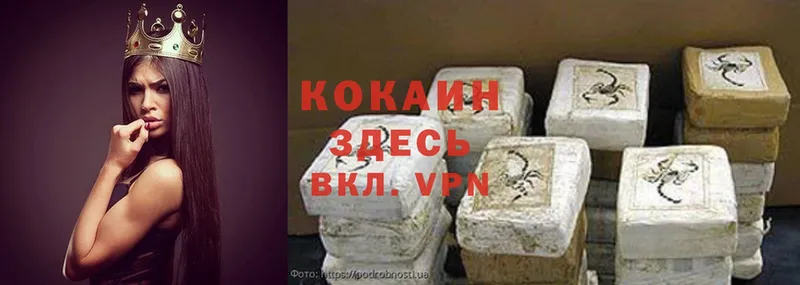 Cocaine VHQ  kraken зеркало  Шагонар  хочу  