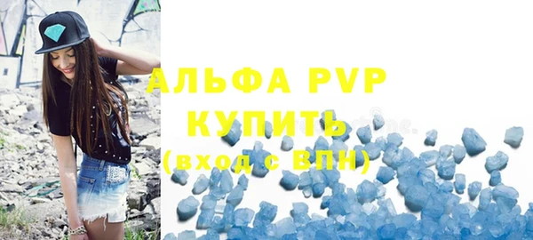 прущие грибы Медногорск