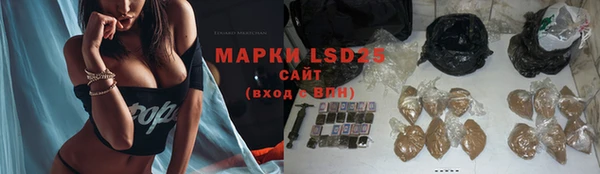 прущие грибы Медногорск