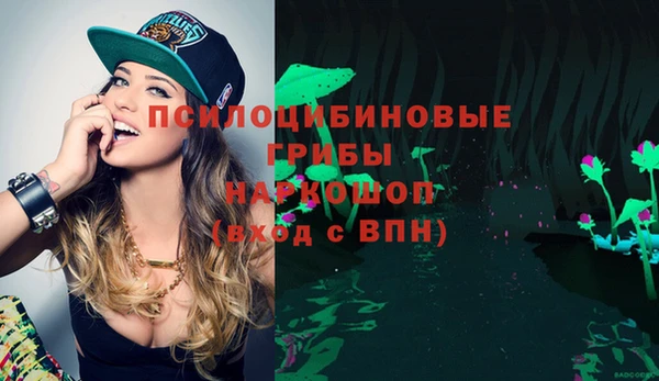прущие грибы Медногорск