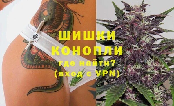 прущие грибы Медногорск