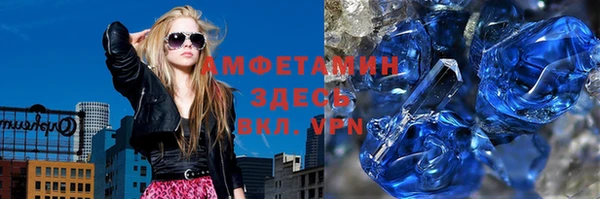 прущие грибы Медногорск