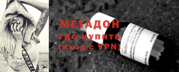 прущие грибы Медногорск