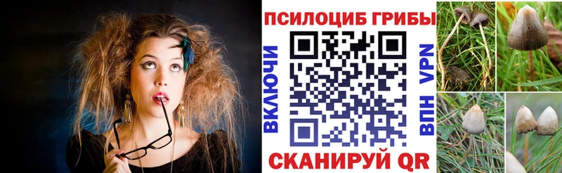 Псилоцибиновые грибы прущие грибы Шагонар