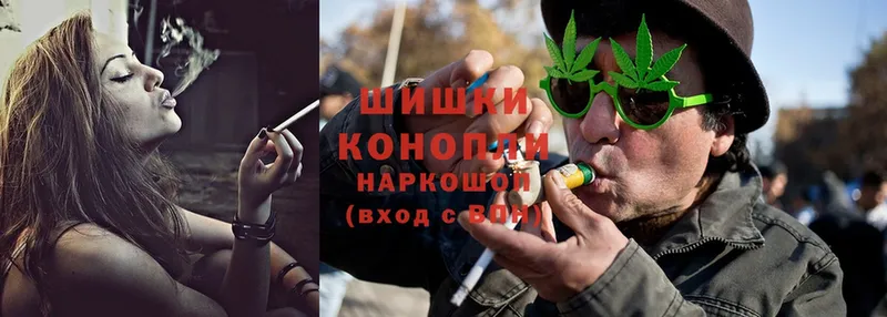 Конопля конопля  Шагонар 